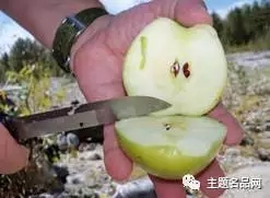 世界上操一把也不会少一把的瑞典国刀在这里-莫拉Garberg测评