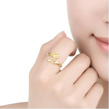 女士黄金戒指有什么讲究,珠宝戒指佩戴的讲究