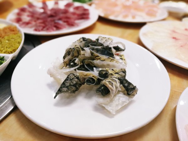 横县茉莉花之乡中华茉莉园,欢迎来到广西横县茉莉花之乡