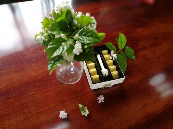 横县茉莉花之乡中华茉莉园,欢迎来到广西横县茉莉花之乡