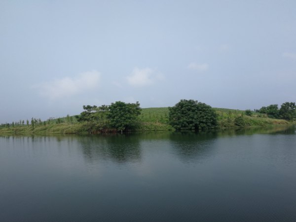 横县茉莉花之乡中华茉莉园,欢迎来到广西横县茉莉花之乡