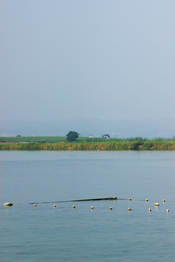 横县茉莉花之乡中华茉莉园,欢迎来到广西横县茉莉花之乡