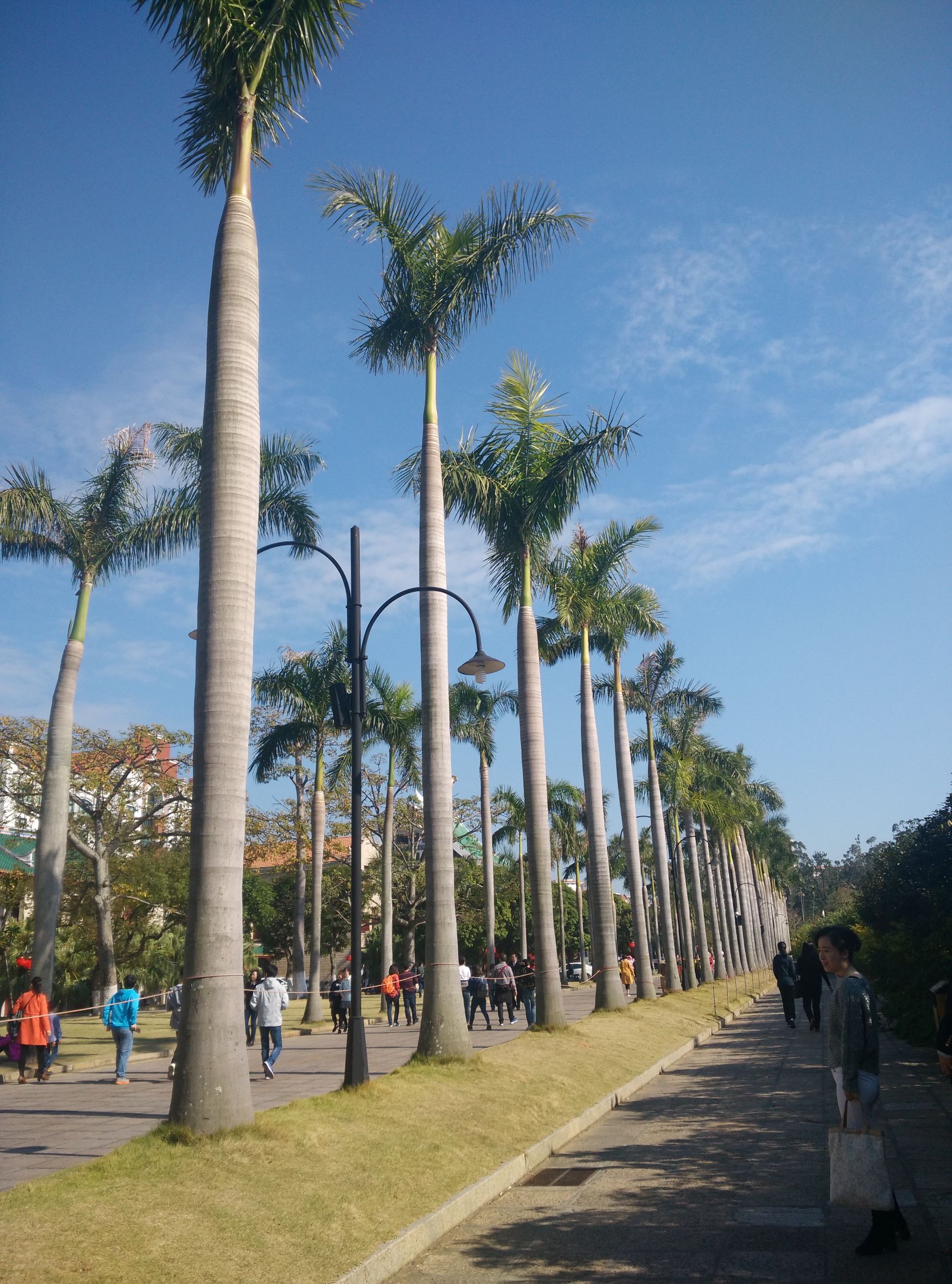 环球旅游攻略带孩子玩,环球带娃游玩攻略