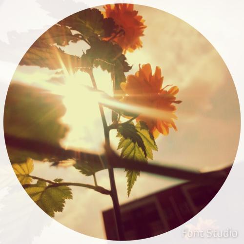 学信网两个账号怎么考研报名,考研报名学信网身份验证