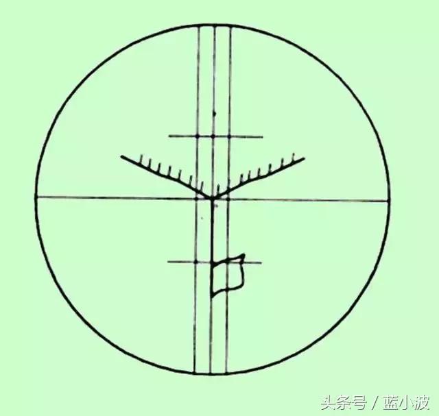 光学经纬仪构造说明,光学经纬仪的原理