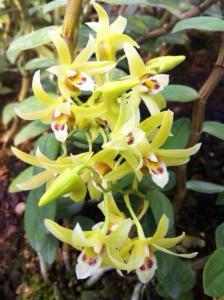 炒鸡蛋放什么炒最好吃,什么菜最适合炒鸡蛋