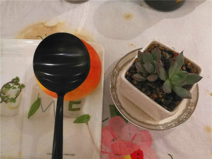 用心去感受生活的美好，MaisonMaxx纯色不锈钢餐具试用