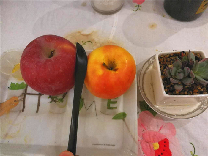 用心去感受生活的美好，MaisonMaxx纯色不锈钢餐具试用