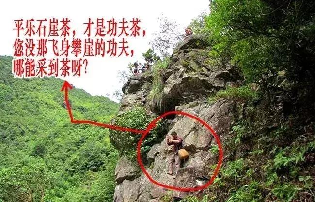 阳朔平乐,平乐是阳朔吗