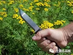 世界上操一把也不会少一把的瑞典国刀在这里-莫拉Garberg测评