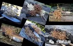 世界上操一把也不会少一把的瑞典国刀在这里-莫拉Garberg测评