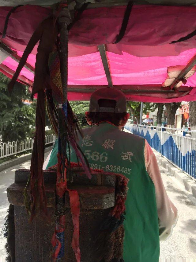 秋日沉浸在夕阳的怀抱中,初秋沉醉在西藏的图片