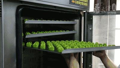 正宗曲奇有哪些,天津产的曲奇