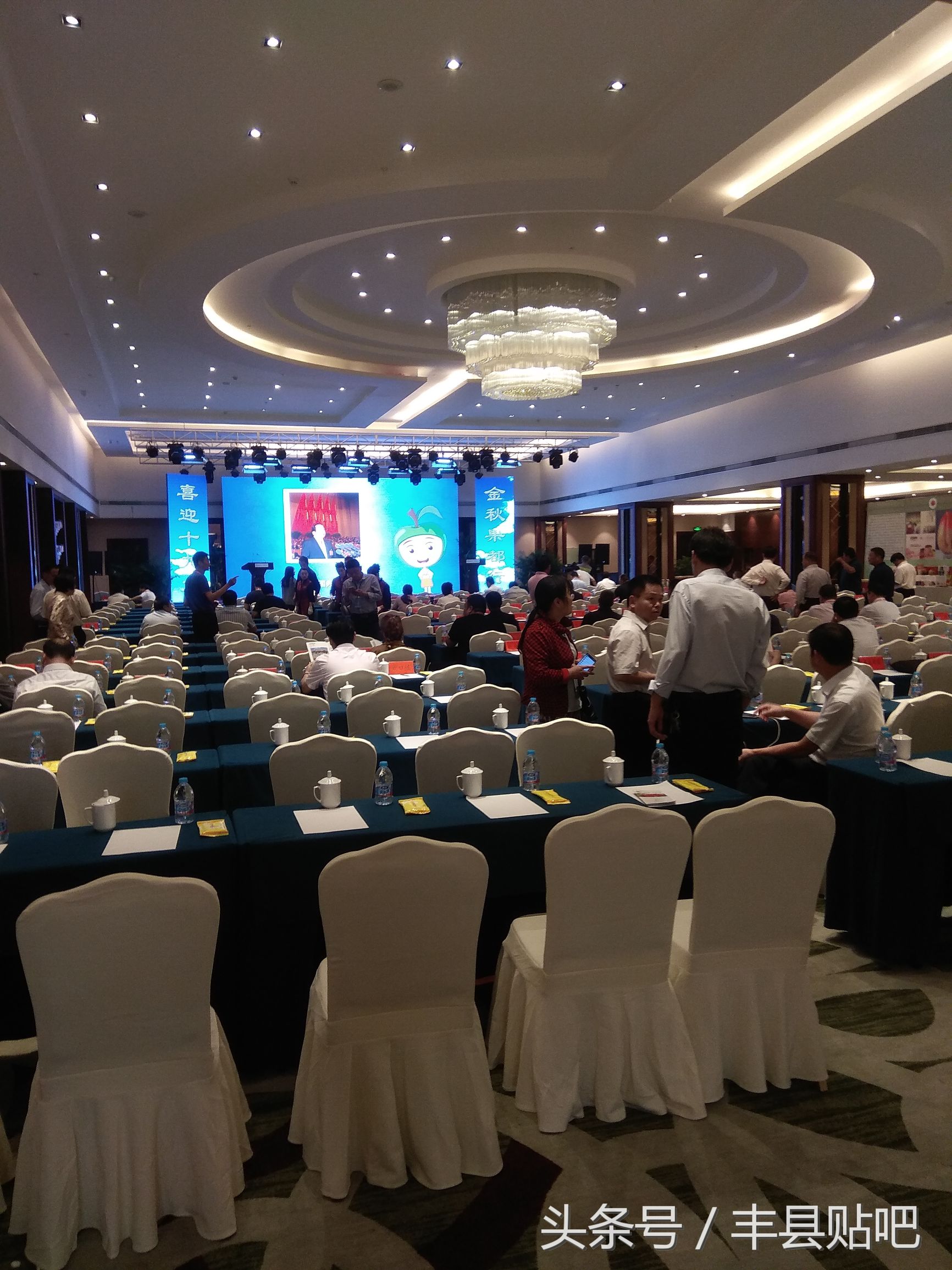 摘苹果徐州丰县,丰县哪个地方能摘苹果