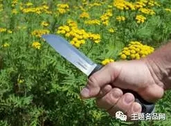 世界上操一把也不会少一把的瑞典国刀在这里-莫拉Garberg测评