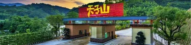 自由行天子山旅游攻略,天子地风景区拍照攻略