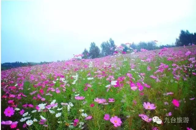 九台周边三日游去哪儿好,黄金周出游怎么玩