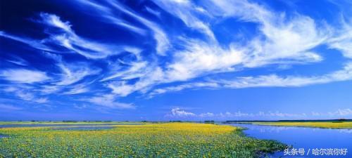 5月19号黑龙江有哪些景区免门票,黑龙江旅游日免门票景区