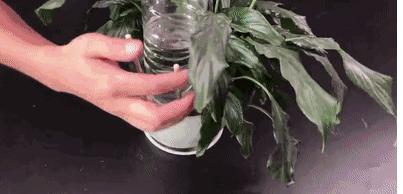 懒人浇花神器制作过程,实用小妙招自制浇花神器
