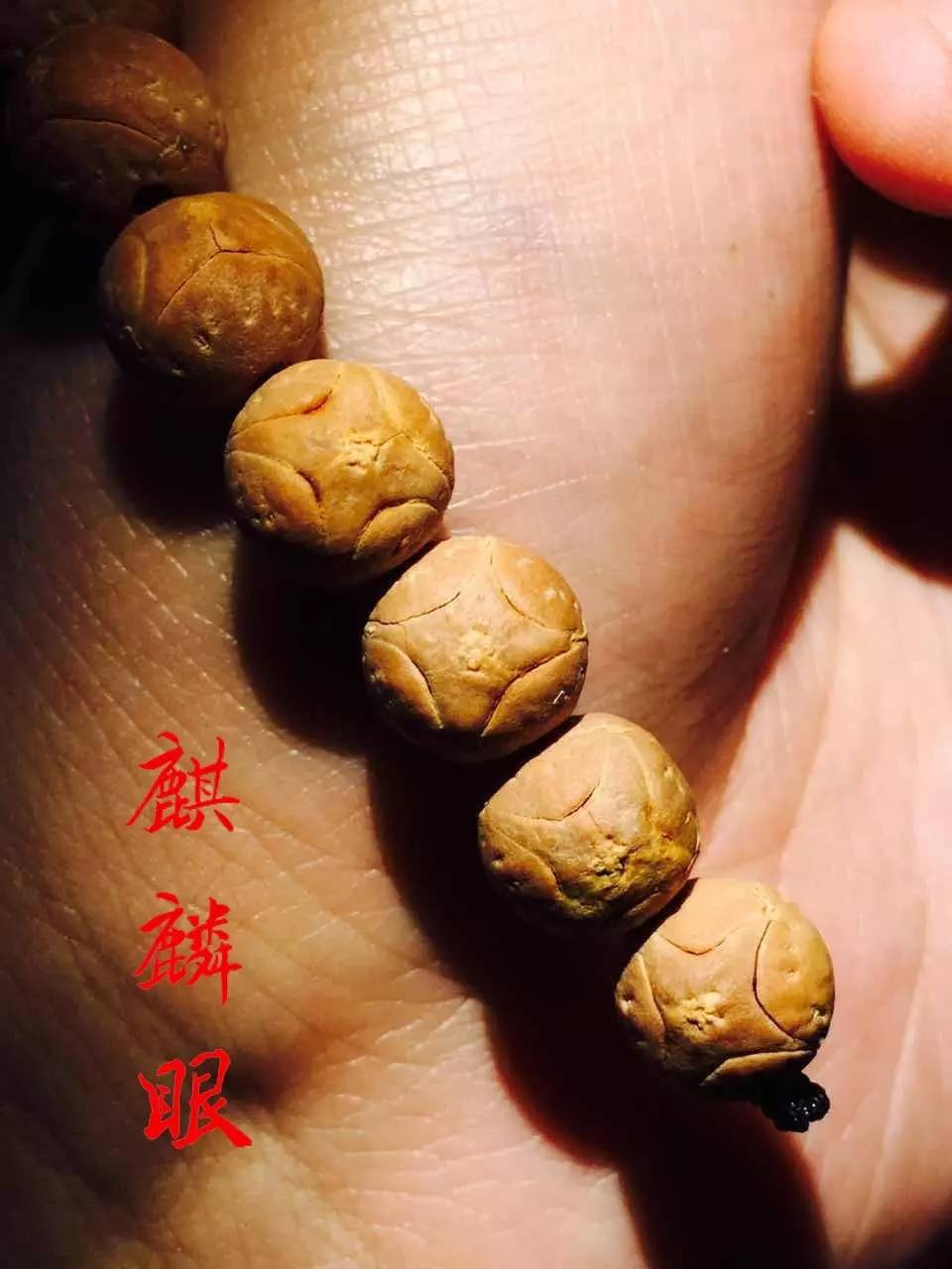 凤眼龙眼麒麟眼哪个眼睛不容易破,11.5-12毫米凤眼菩提麒麟眼