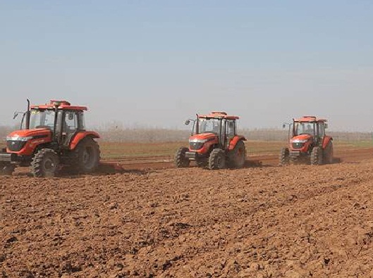 春牛膝的高产栽培技术,牛膝一亩地栽培多少棵