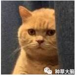 淘宝上的护肤品真的能用吗,淘宝上的护肤品是正规的吗