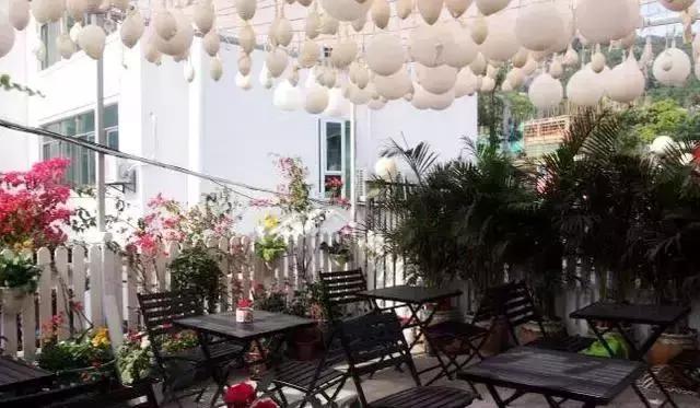 厦门旅游景点必去攻略自由行,厦门旅游攻略最好的城市自由行