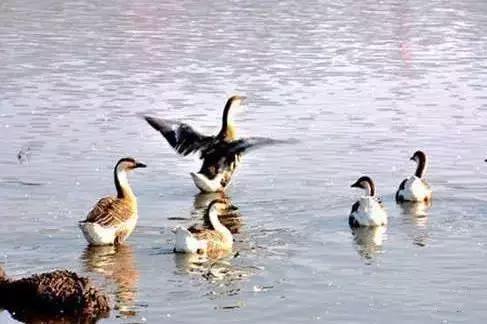九台周边三日游去哪儿好,黄金周出游怎么玩