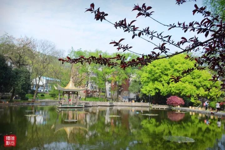 湖南省委书记点赞中南大学入选“双一流”,中国最美大学城还远吗