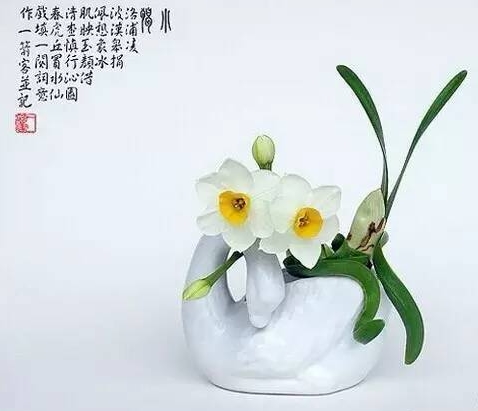 漳州的这朵“仙花”，占领全国98%的市场，经常在春晚“出镜”