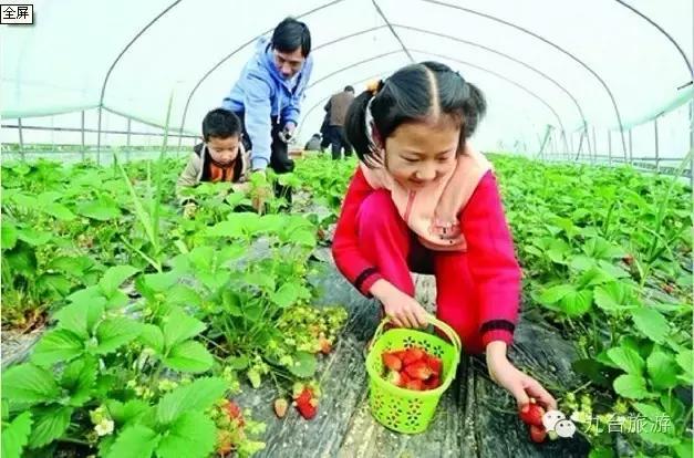 九台周边三日游去哪儿好,黄金周出游怎么玩