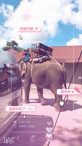 普吉岛清迈曼谷的游玩顺序亲子游,泰国清迈旅游团自由行