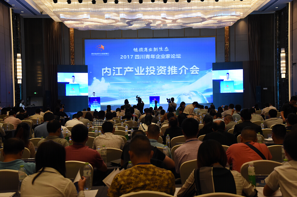 内江召开企业家座谈会,四川省民营经济发展论坛现场