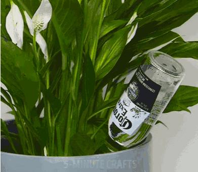 懒人浇花神器制作过程,实用小妙招自制浇花神器