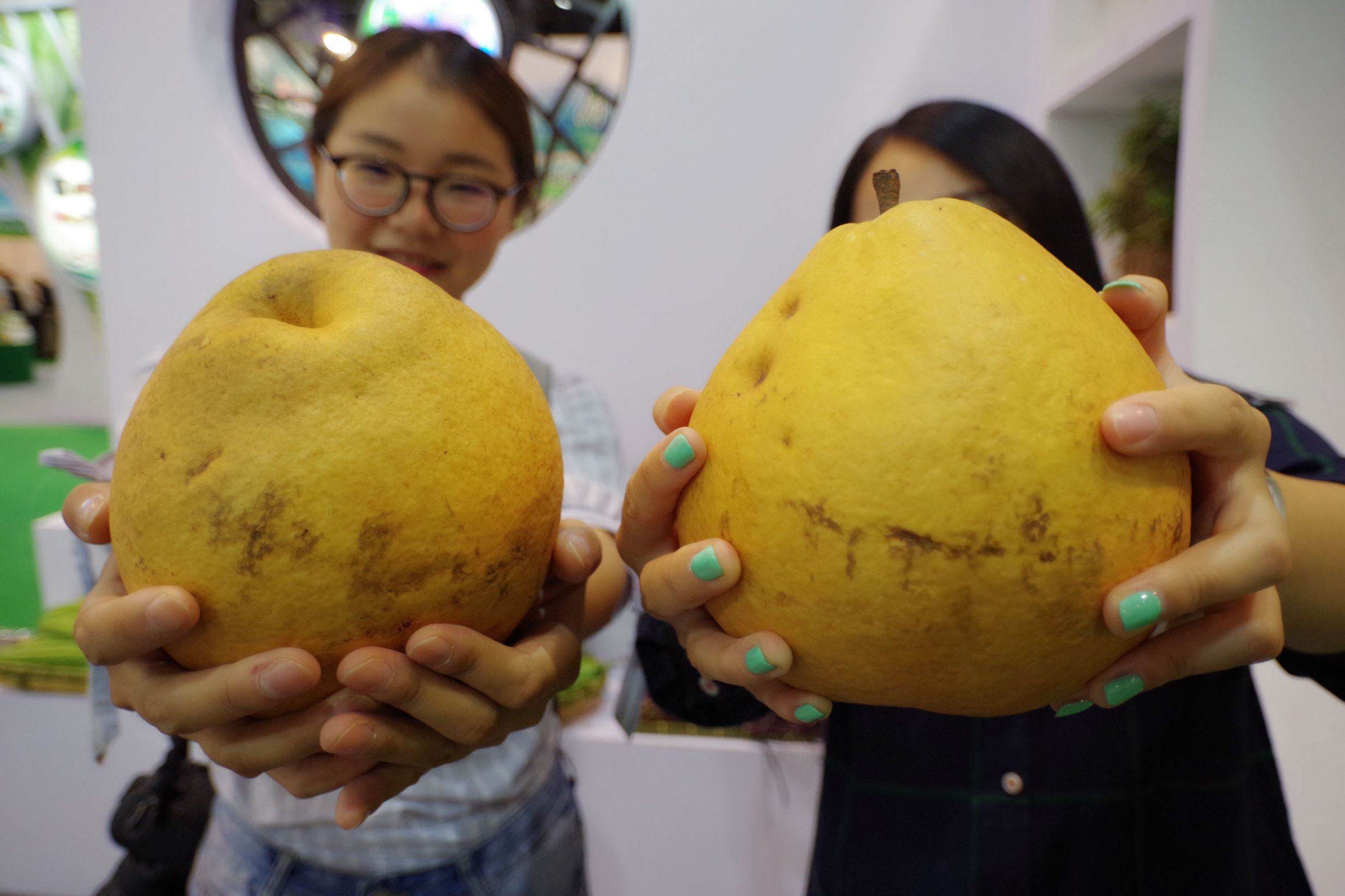 浙江农博会藏梨,在展博会体验满满未来感