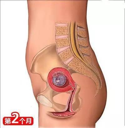 生娃注意事项及经验总结,26个从怀孕到生娃的母婴常识