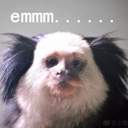 夏日出门必备装备,雨天必备的装备有哪些呢