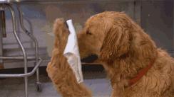 9月至11月适合穿什么衣服,九月就要乱穿衣