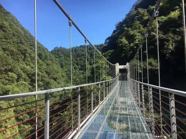 惊险刺激的炸裂玻璃栈道,吓尿玻璃桥视频