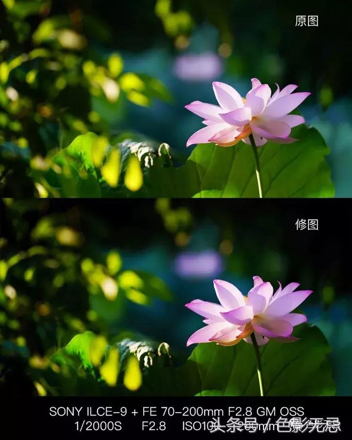 索尼fe70-200f2.8人像,索尼fe70-200mm