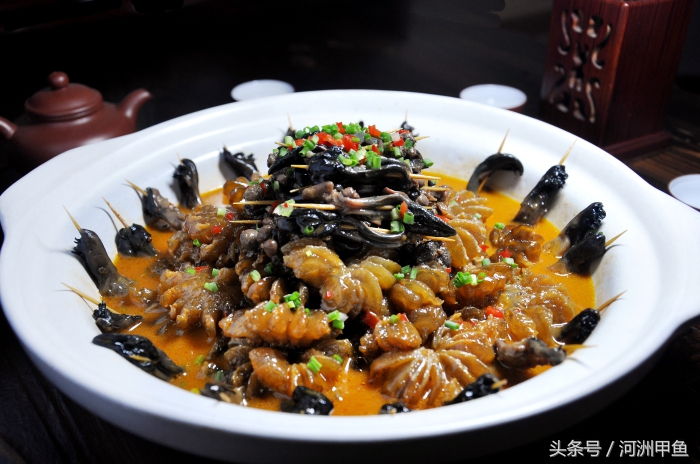 甲鱼菜品介绍术语,甲鱼菜品语言介绍