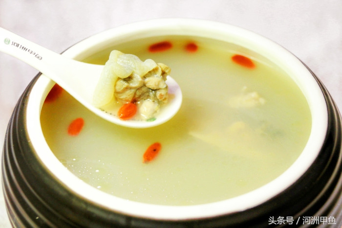 甲鱼菜品介绍术语,甲鱼菜品语言介绍