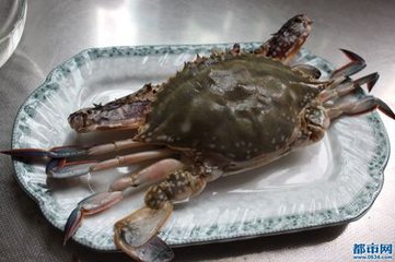 海蟹和河蟹怎么区别,海蟹河蟹区分
