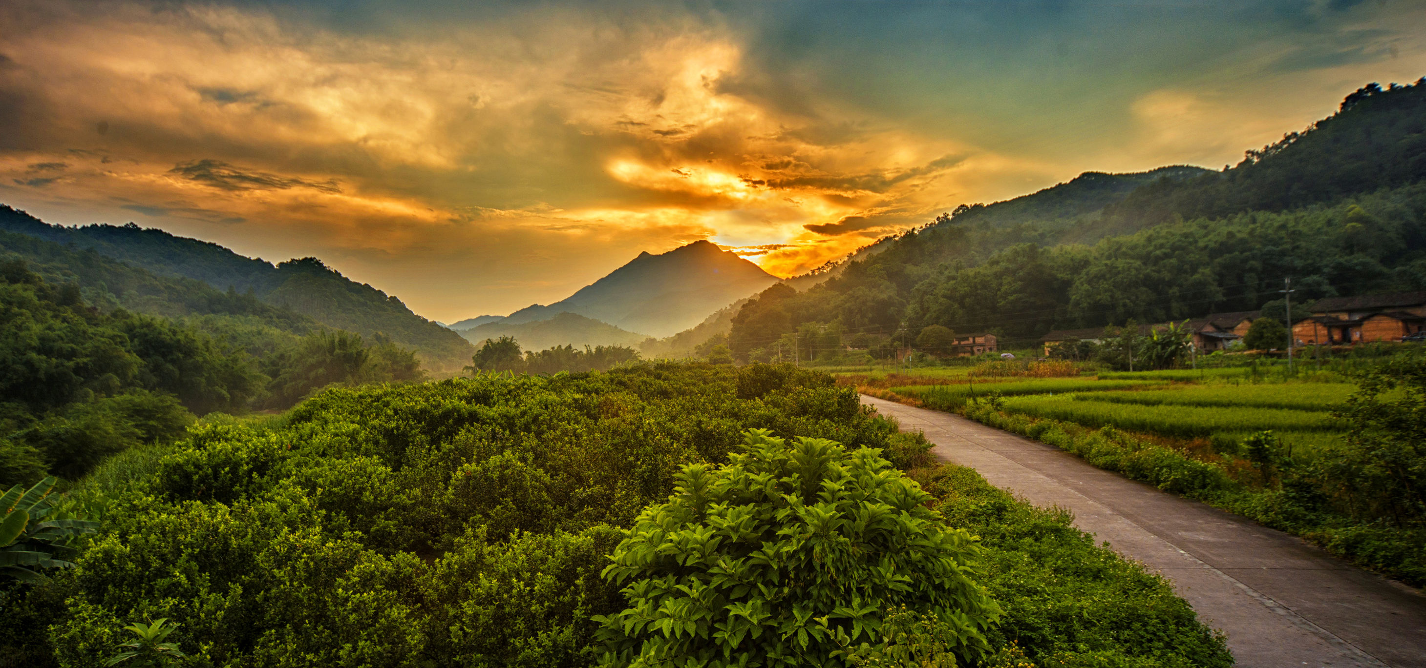 自由行天子山旅游攻略,天子地风景区拍照攻略