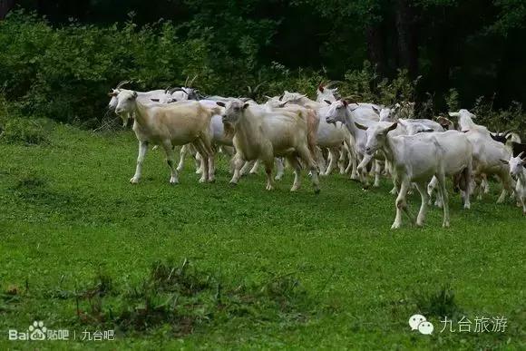 九台周边三日游去哪儿好,黄金周出游怎么玩