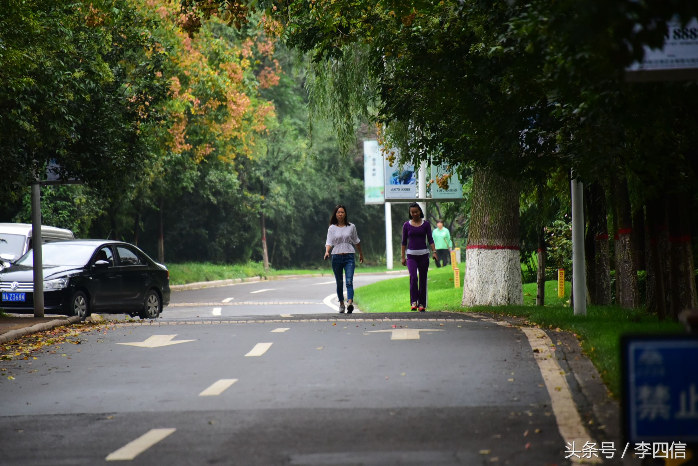 郑州思念果岭最新一期,郑州思念果岭哪里最好