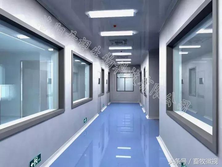 凝结芽孢杆菌作用机理及功能特点