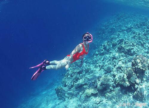 海南三亚当地导游推荐,海南三亚导游词鹿回头