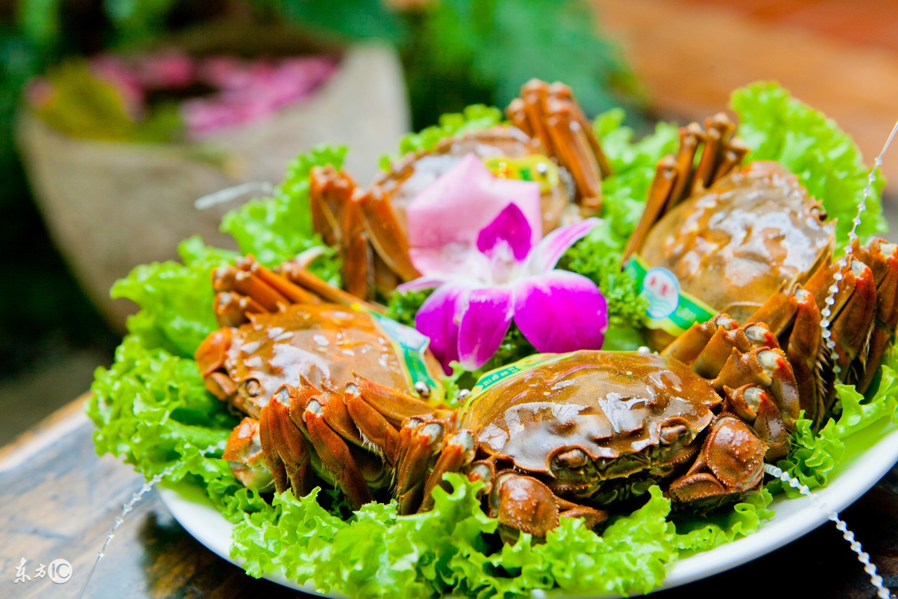 金秋完美“蟹”逅,靠它撩到TA!