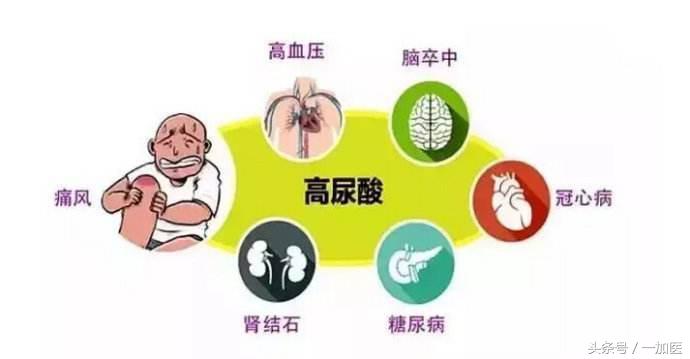 尿酸高怎么提高代谢,饮食健康为啥尿酸高